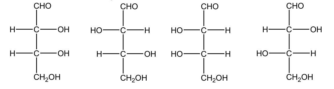 Fischer projections of four aldoses (erythrose and threose) — Biomolecules, 12th Standard Chemistry